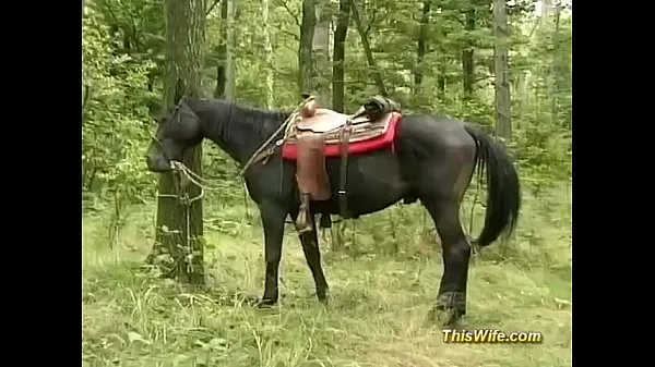 Mostrar esposa cachonda en trío en el bosque vídeos de conducción