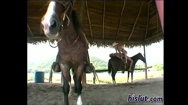 Afficher Enfoncer à cheval vidéos Drive