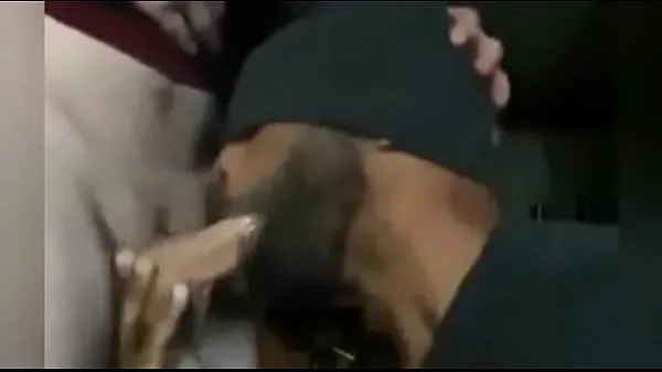 Mostrar Este tenía sed de leche vídeos de conducción