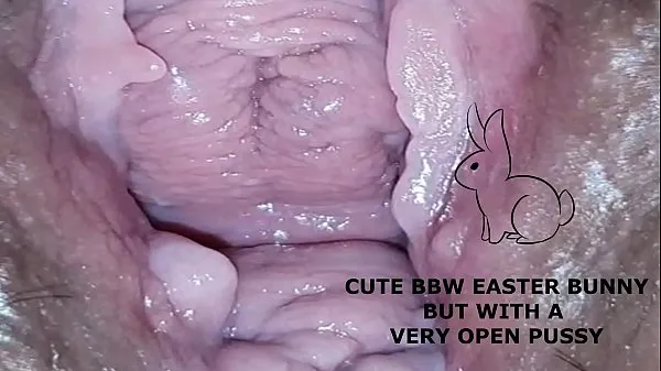 แสดง Cute bbw bunny, but with a very open pussy วิดีโอขับเคลื่อน